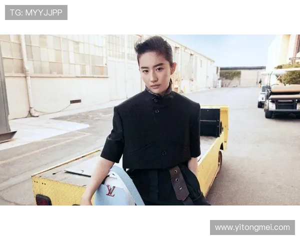 掌握开云入口的详细操作流程全面教程全方位提升登录效率