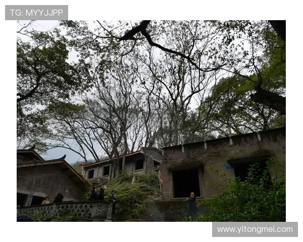 探索尊龙中国bjl8官网的安全机制，确保玩家信息与资金的双重保障