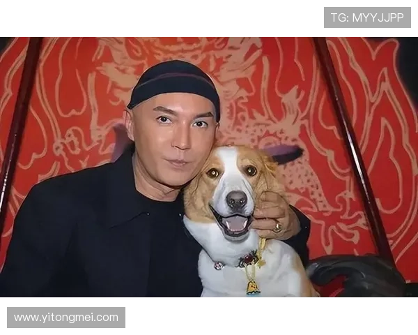 揭开尊龙平台的神秘面纱，究竟有哪些人参与