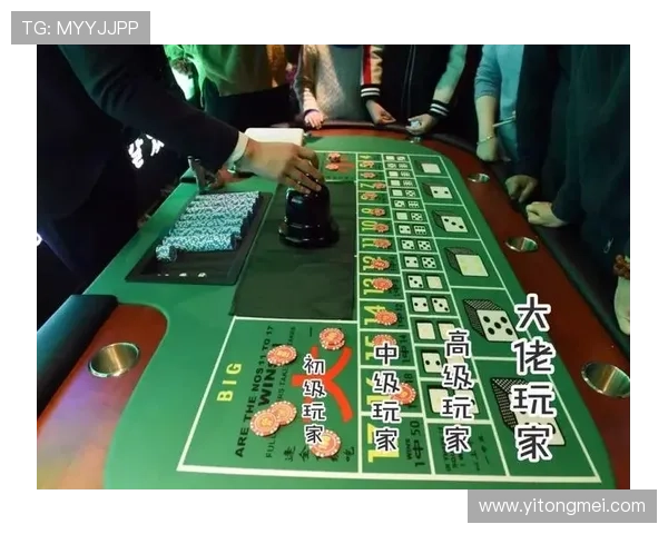 揭秘尊龙凯时真人版会员注册的隐藏技巧，助你成为达人玩家