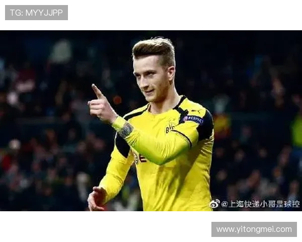 尊龙z6手机版下载常见问题解答，解决下载安装过程中遇到的各种疑难问题