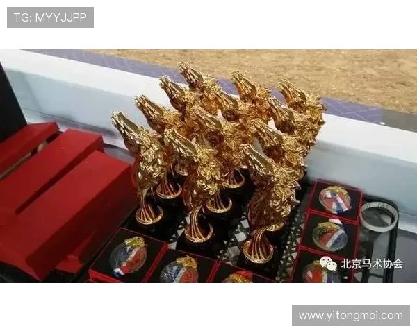 畅享尊龙娱乐平台中的精彩赛事与丰厚奖励