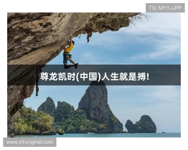 尊龙新版人生就是博揭示游戏中丰富任务与多样人生体验的核心亮点